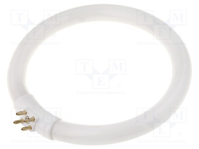 Fluorescent lamp; 12W