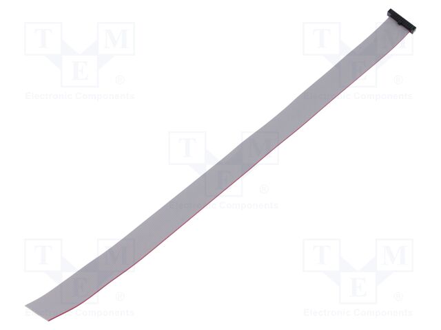 Ribbon cable with IDC connectors; Tape ph: 0.64mm; 304.8mm