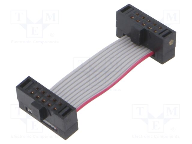 Ribbon cable with IDC connectors; Tape ph: 0.64mm; 25.4mm