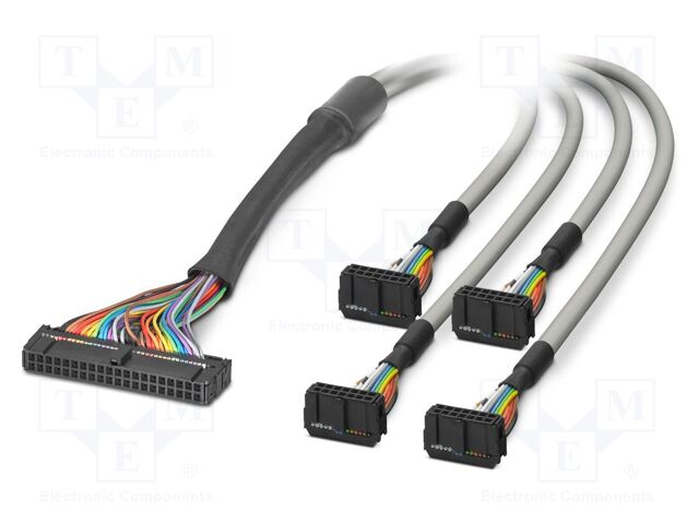 Ribbon cable with IDC connectors; Contacts ph: 2.54mm; 2m; 26AWG