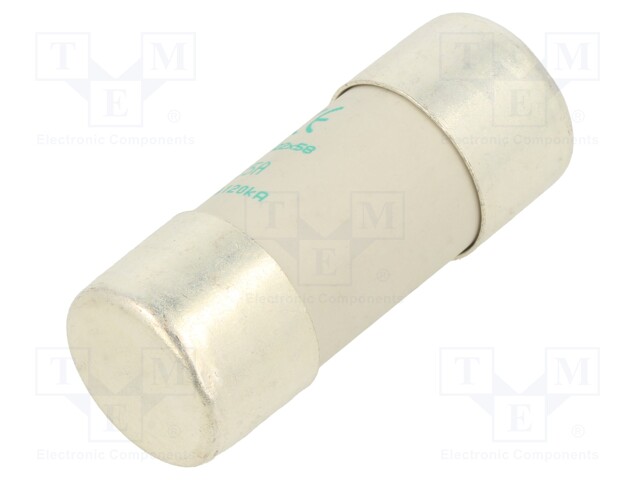 Fuse: fuse; aM; 125A; 400VAC; ceramic; 22x58mm