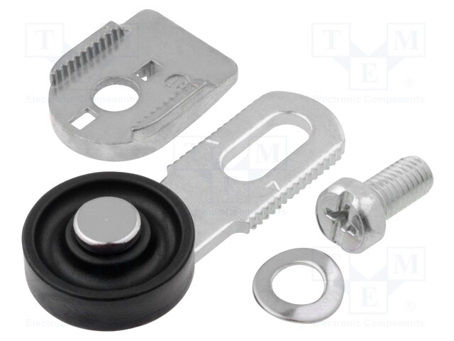 Limit switch