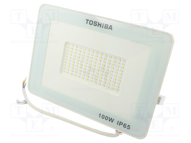 Lamp: LED flood light; 230VAC; 100W; cool white; 120°; 6500K; IP65