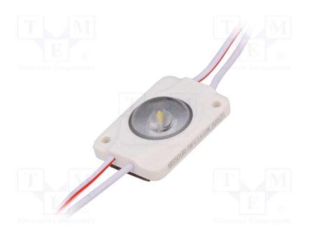 LED; white; 1W; 6500K; 100lm; IP66; 170°; No.of diodes: 1; -25÷60°C