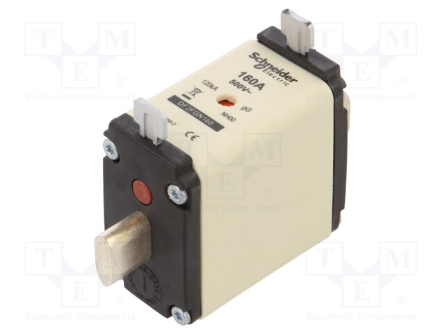 Fuse: fuse; gG; 160A; 500VAC; ceramic; NH00