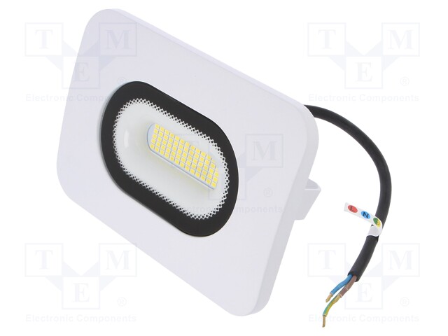 Lamp: LED flood light; 4000(typ)K; IP65; Body: white; 30W; 230VAC