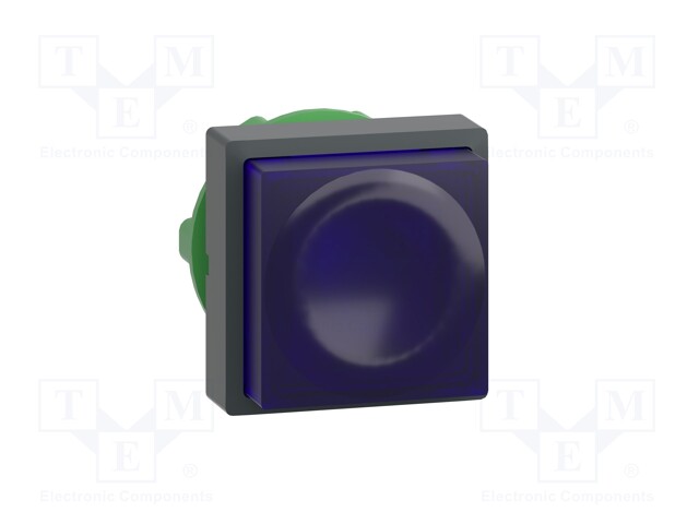 Switch: push-button; Stabl.pos: 1; 22mm; blue; IP66; Pos: 2; Ø22mm