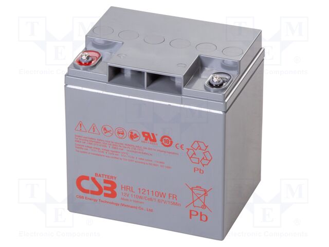 Re-battery: acid-lead; 12V; 28Ah; AGM; maintenance-free