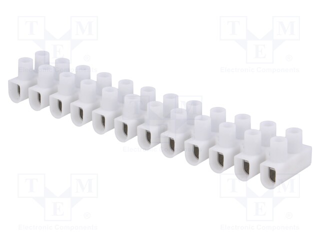 Terminal block; screw terminal; ways: 12; 2.5÷10mm2; terminals: 24
