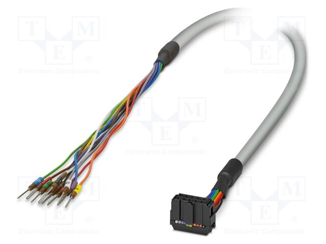 Ribbon cable with IDC connectors; IDC/FLK 10pin,wires; 6m