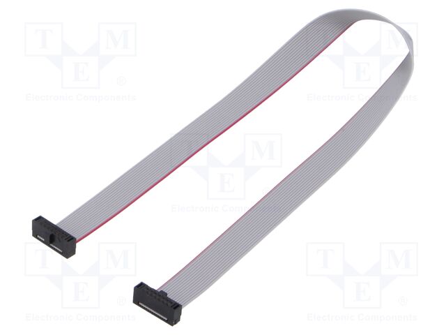 Ribbon cable with IDC connectors; Tape ph: 0.64mm; 254mm