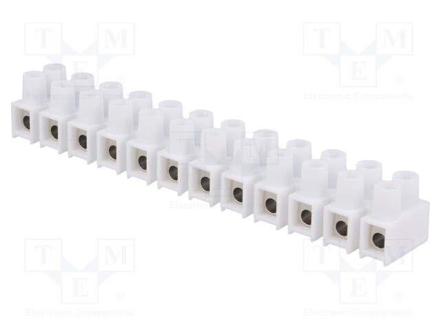 Terminal block; screw terminal; ways: 12; 10mm2; terminals: 24