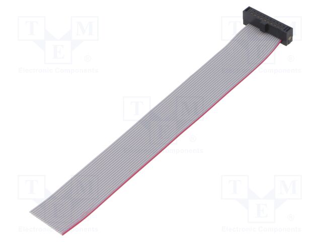 Ribbon cable with IDC connectors; Tape ph: 0.64mm; 101.6mm