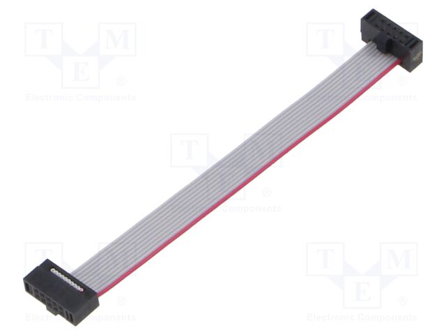 Ribbon cable with IDC connectors; Tape ph: 0.64mm; 76.2mm