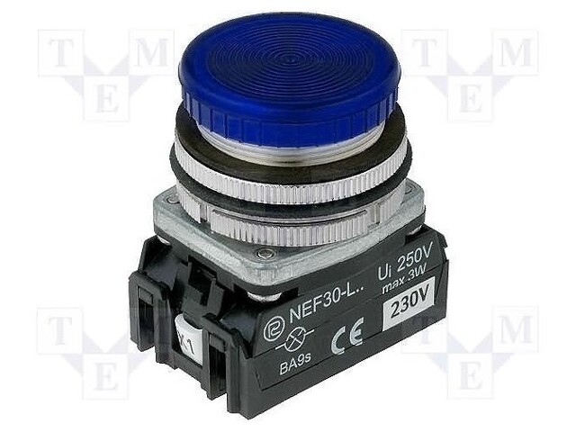 Control lamp; 30mm; NEF30; -15÷30°C; Illumin: LED,filament lamp