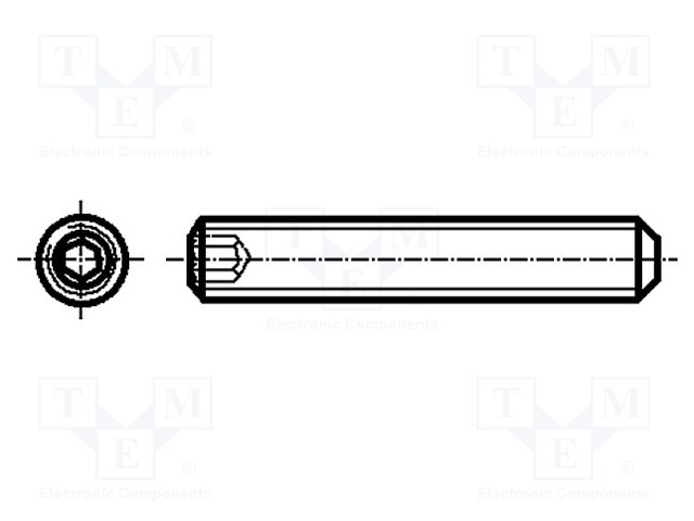 Screw; M2x10; 0.4; Head: without head; hex key; HEX 0,9mm; DIN 913