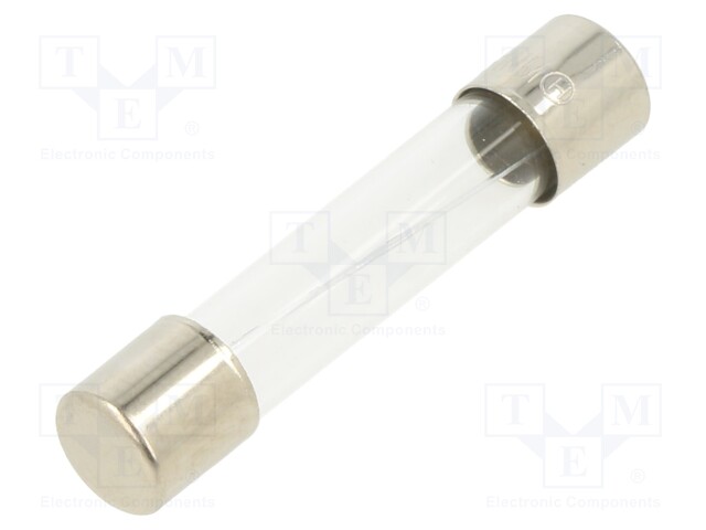 Fuse: fuse; 10A; 250VAC; glass; 6.35x31.8mm; brass; bulk