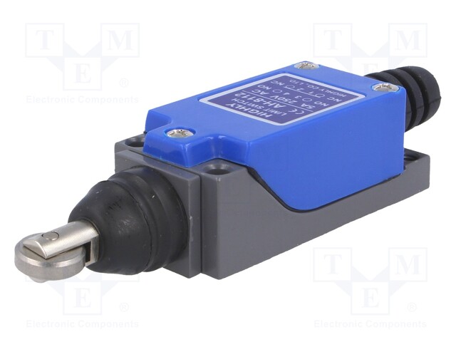 Limit switch; oblong metal roller Ø12,4mm; NO + NC; 5A; IP64