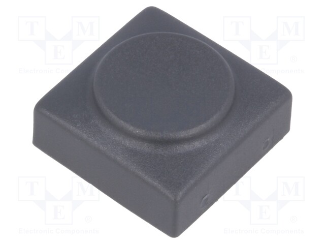 Button; rectangular; Application: 6425.0101,6425.1101; Mat: PA
