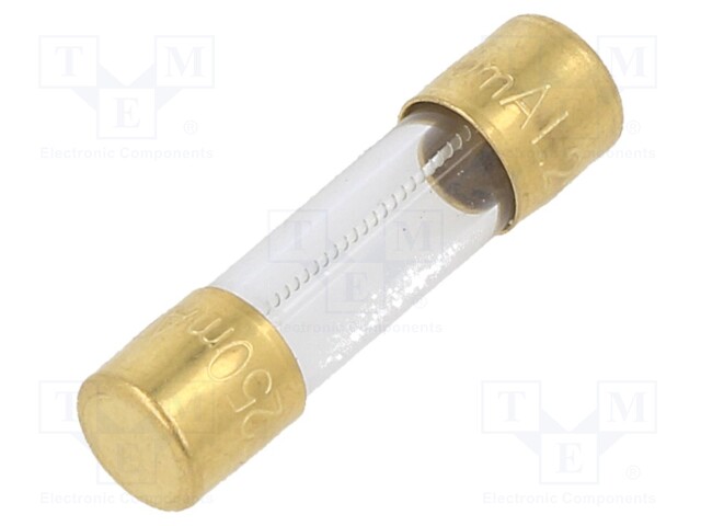 Fuse: fuse; time-lag; 250mA; 250VAC; SMD; cylindrical,glass; 5x20mm