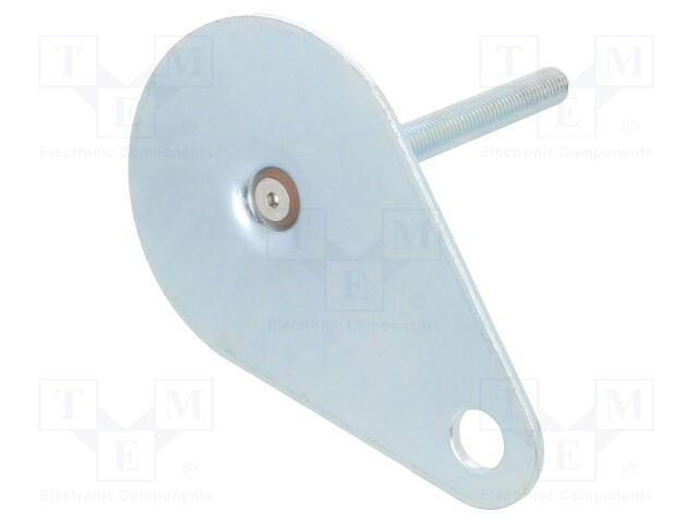 Foot of pin; Base dia: 80mm; M10; steel; Plunger length: 100mm