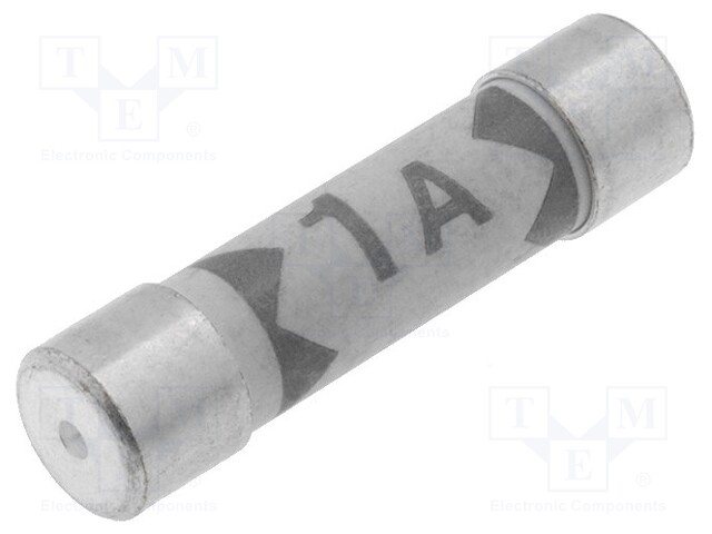 Fuse; Application: BM811,BM817; 1A/240V