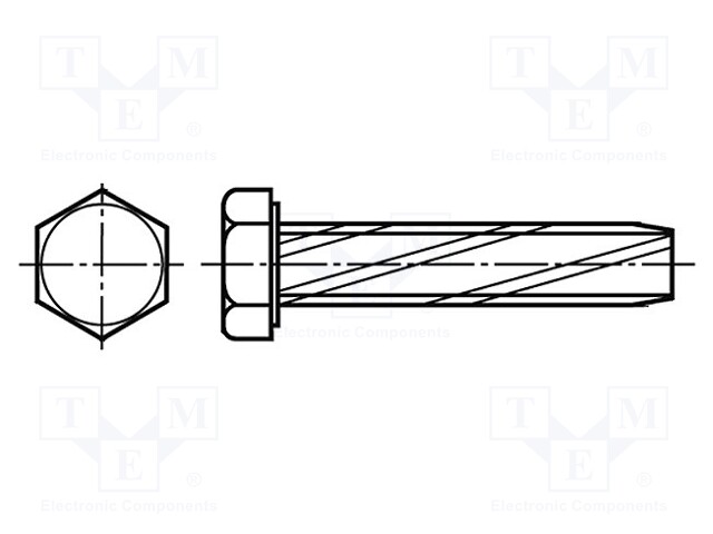 Screw; 6x12; Head: hexagonal; none; hardened steel; zinc; BN: 1221