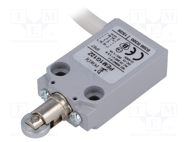 Limit switch; oblong metal roller Ø12mm; NO + NC; 5A; max.240VAC