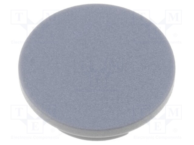 Cap; plastic; grey; push-in; Application: G4310.6131