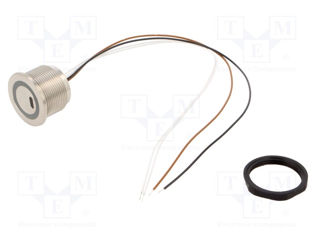 Switch: vandal resistant; Pos: 1; SPST; 0.1A/42VAC; 0.1A/60VDC