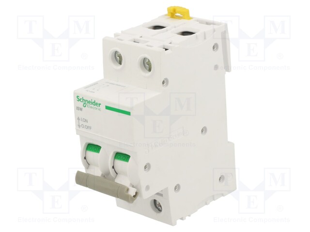 Switch-disconnector; Poles: 2; for DIN rail mounting; 125A; IP20
