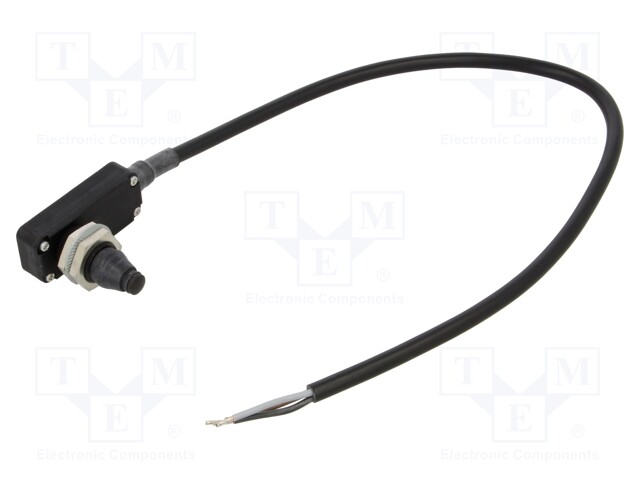 Limit switch