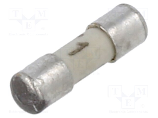 Fuse: fuse; time-lag; 1A; 125VAC; 125VDC; ceramic,cylindrical; MSB