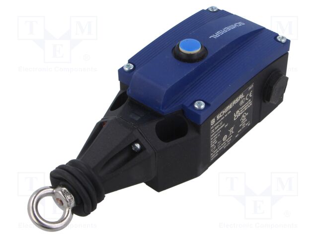 Safety switch: rope
