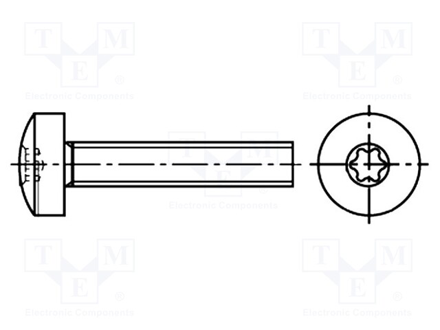 Screw; M5x25; Head: cheese head; Torx®; steel; zinc; TX25
