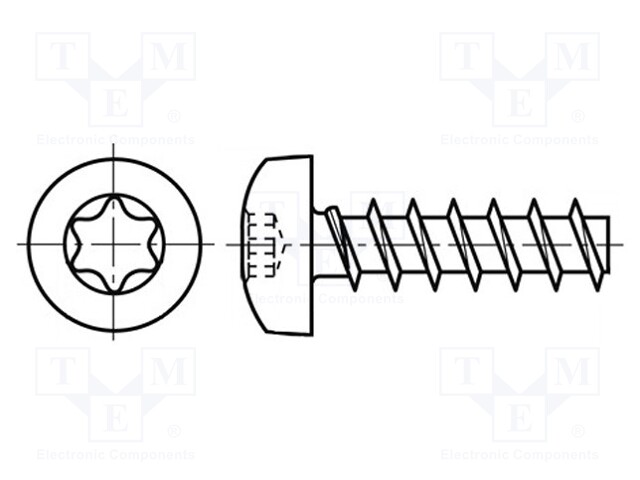 Screw; 4x12; Head: cheese head; Torx®; A2 stainless steel