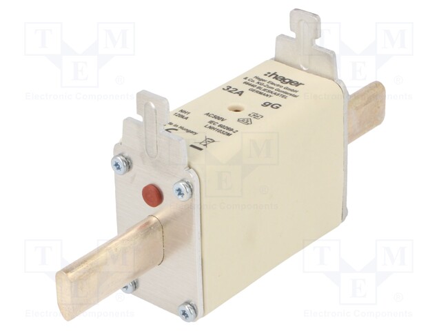 Fuse: fuse; gG; 32A; 500VAC; industrial; NH1C