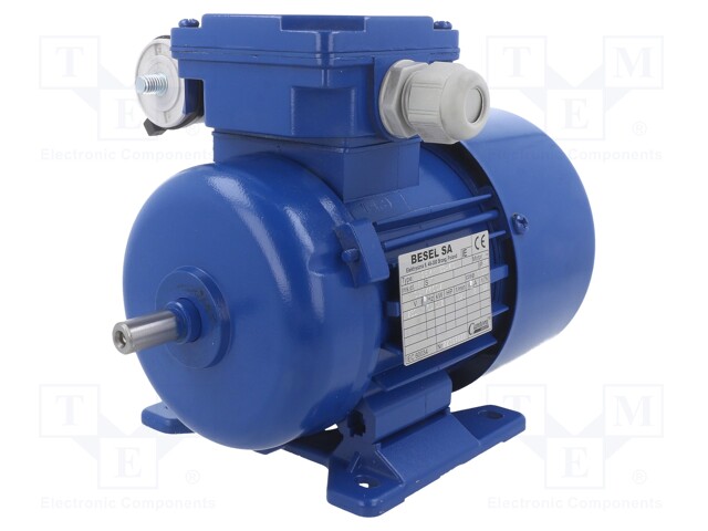 Motor: AC; 1-phase
