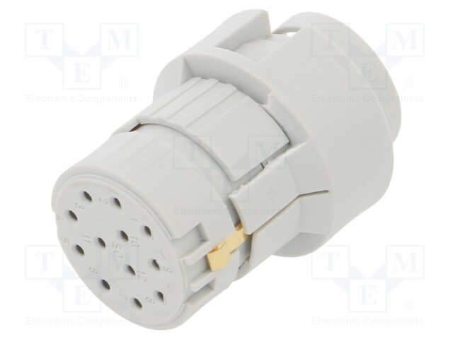 M2312 Female -C+PE