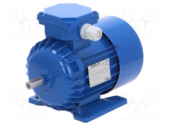 Motor: AC; 3-phase; 0.55kW; 230/400VAC; 2820rpm; 6.3kg; IP54