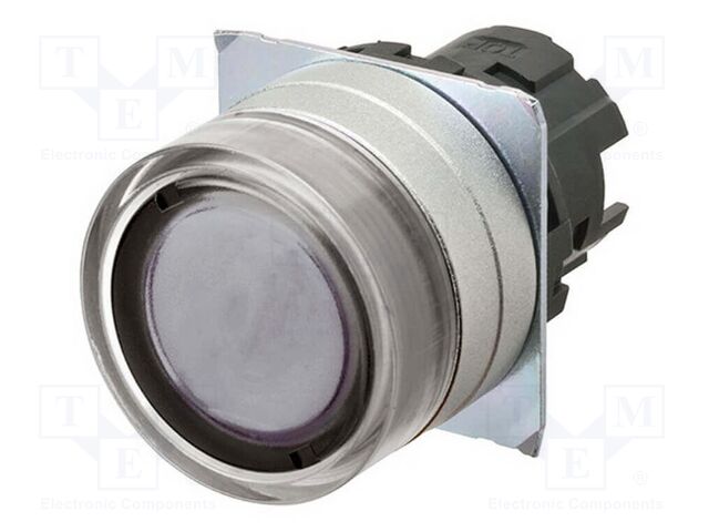 Switch: push-button; 22mm; Stabl.pos: 2; flat; Pos: 2