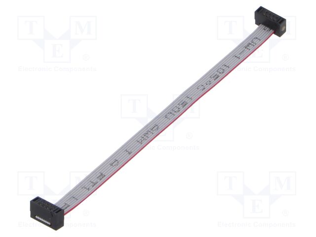 Ribbon cable with IDC connectors; Tape ph: 0.64mm; 101.6mm