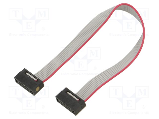Ribbon cable with IDC connectors; Tape ph: 0.64mm; 101.6mm