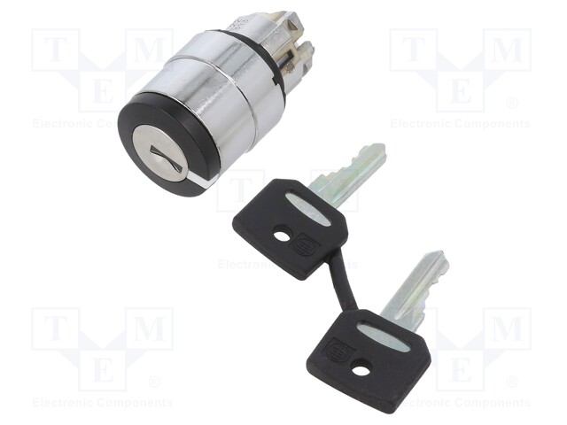 Switch: rotary with key; Stabl.pos: 2; 22mm; black; Illumin: none