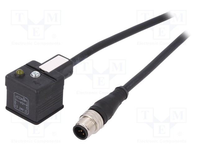 Adapter cable; DIN 43650 plug,M12 male; PIN: 3; IP67; 2m; form A