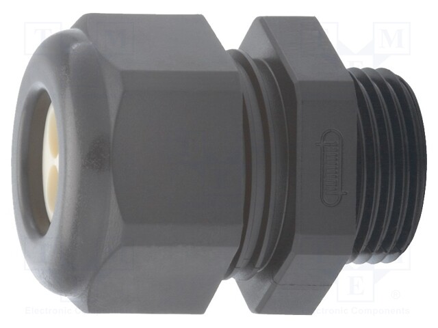 Cable gland