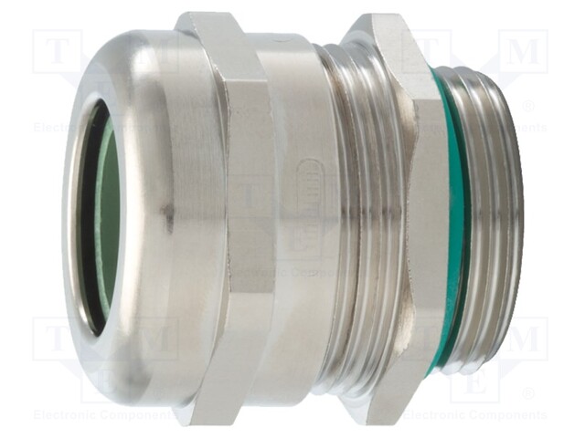 Cable gland