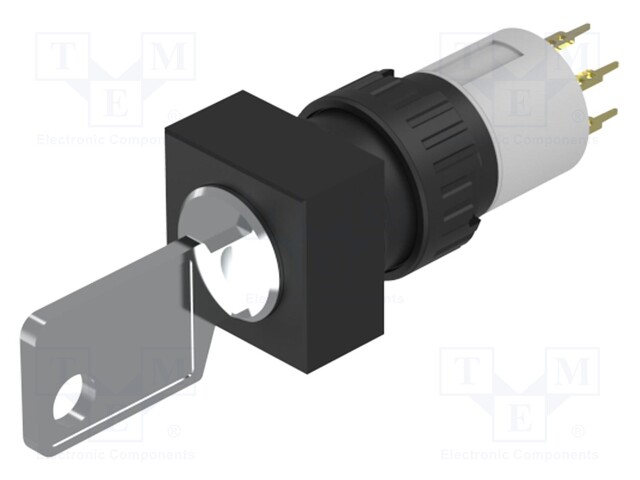 Switch: rotary with key; Stabl.pos: 2; NO x2; Pos: 2; 51