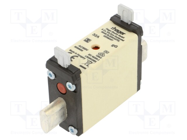 Fuse: fuse; gG; 32A; 500VAC; industrial; NH000