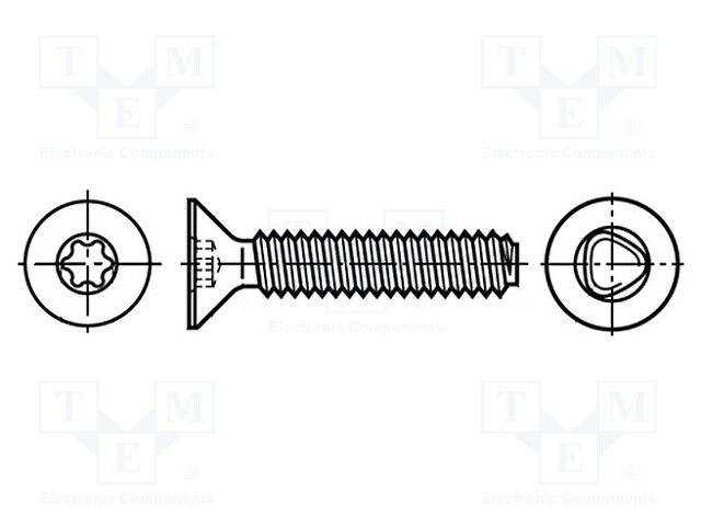 Screw; 6x30; Head: countersunk; Torx®; TX30; A2 stainless steel